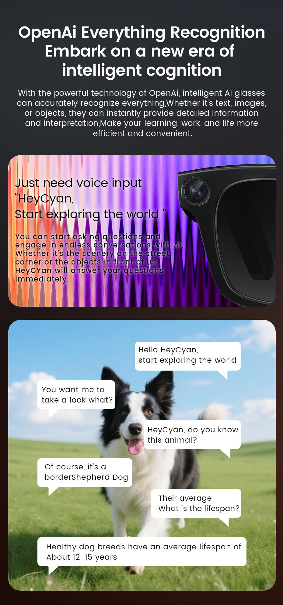 2026 New AI SmartGlasses 800W Camera Touch-sensitive AI Translation 320mah AI Photo Recognition 32 GB Storage Smart Sunglasses - gallery