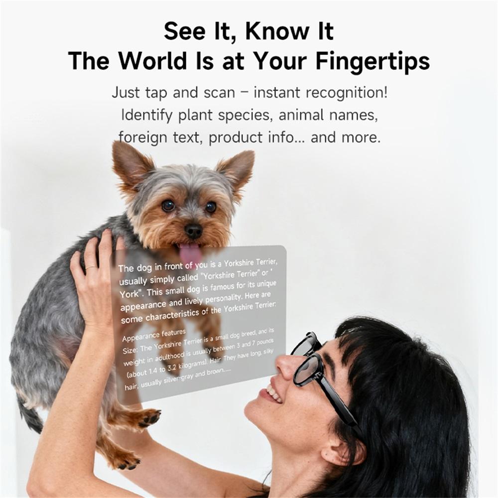 Smart glasses, AI, real-time translation, Bluetooth calling, sunglasses, dual camera, photography, voice recording, video, MP3 player, multifunctional, suitable for men